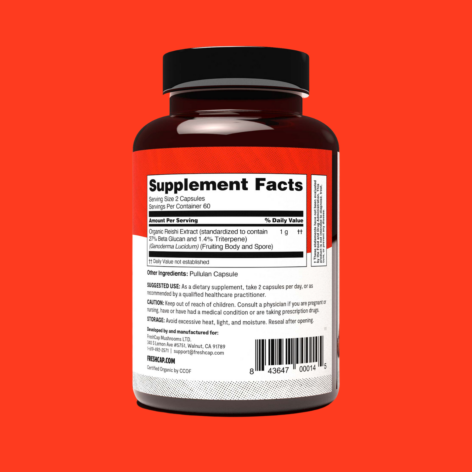 Reishi Mushroom Extract Capsules - Concordia Style Boutique