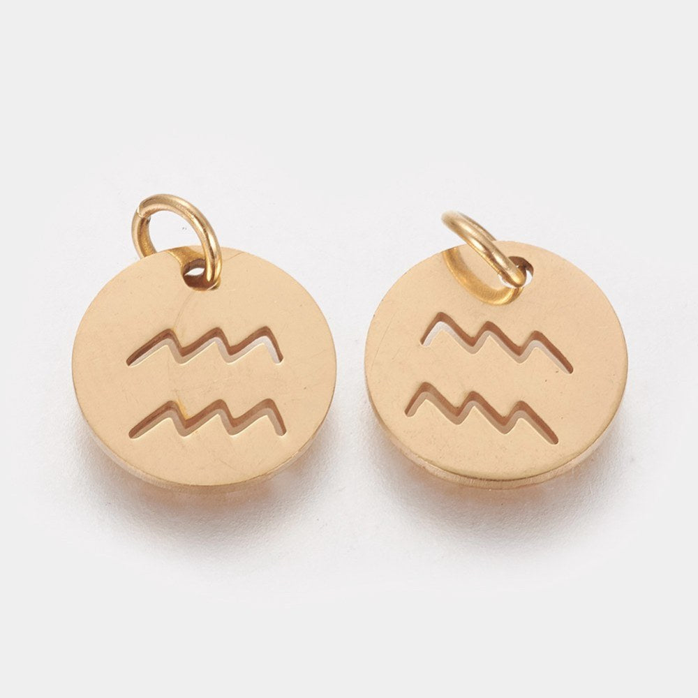 Charm - Zodiac - AQUARIUS