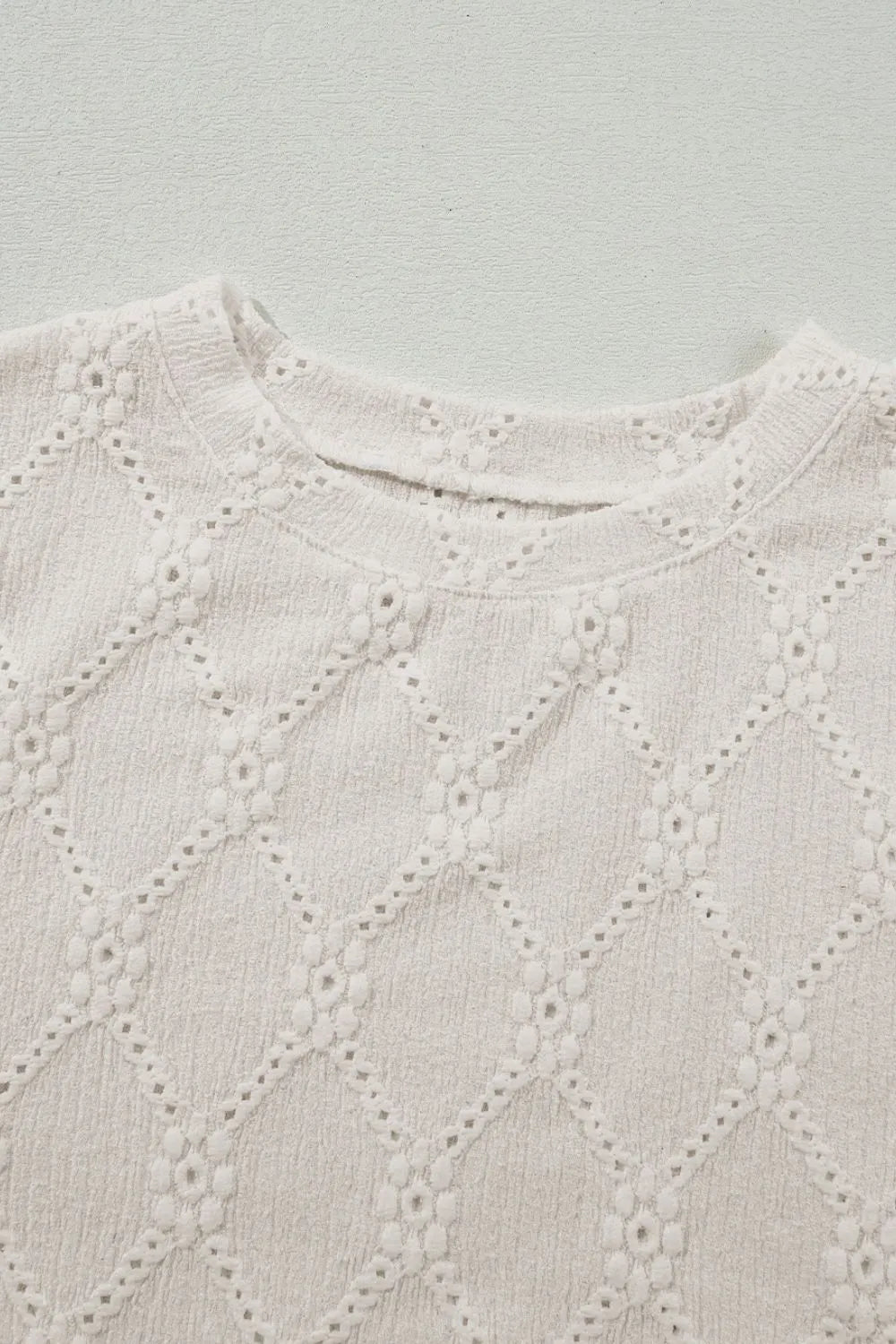 Eyelet Round Neck Short Sleeve Blouse - Concordia Style Boutique