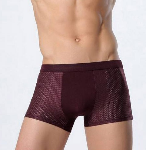 Ice Silk Men's Underwear / Mesh Boxer - Premium Ice silk men's underwear mesh boxer from Concordia Style Boutique - Just $11.67! Shop now at Concordia Style Boutique