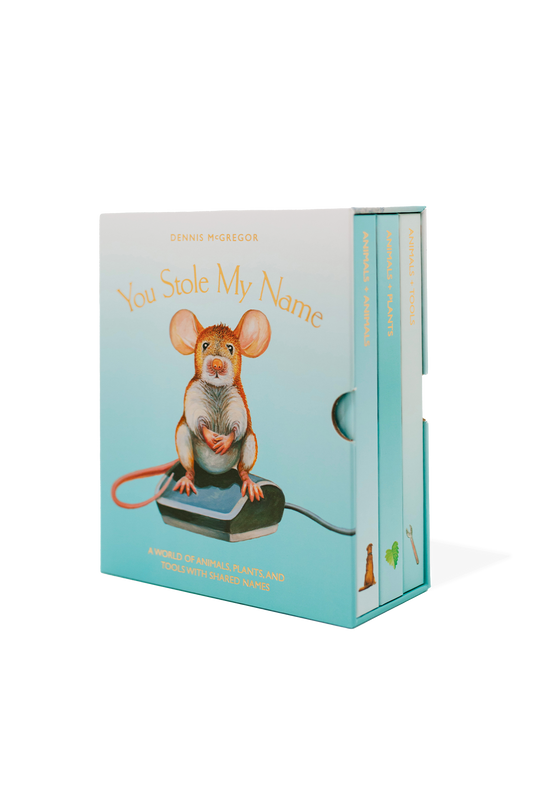 You Stole My Name Board Book Box Set