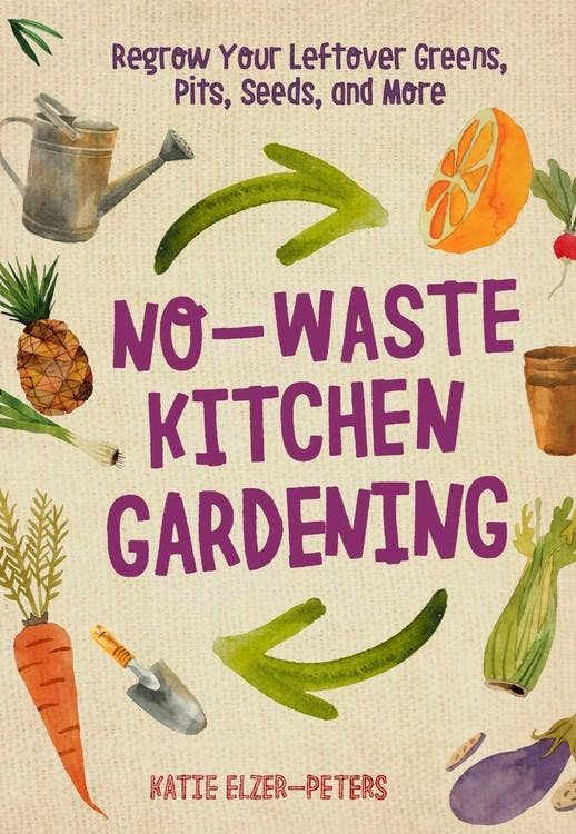 No-Waste Kitchen Gardening: Grow a Garden from Your Scraps! - Concordia Style Boutique