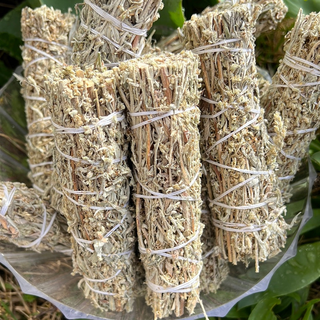 Black Smudge Sage - Mugwort - Concordia Style Boutique
