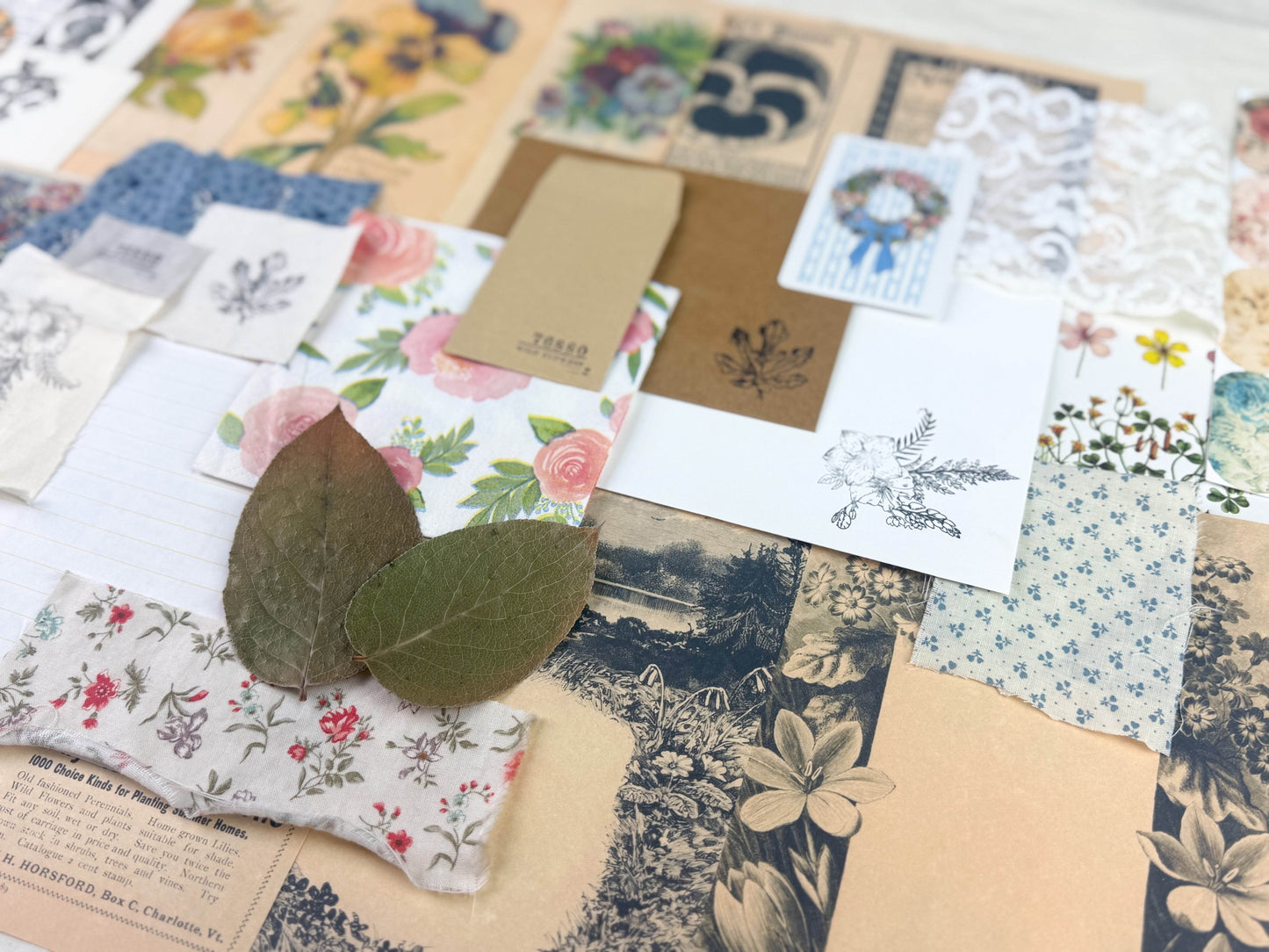 Botanical and Nature Ephemera Kit - Concordia Style Boutique