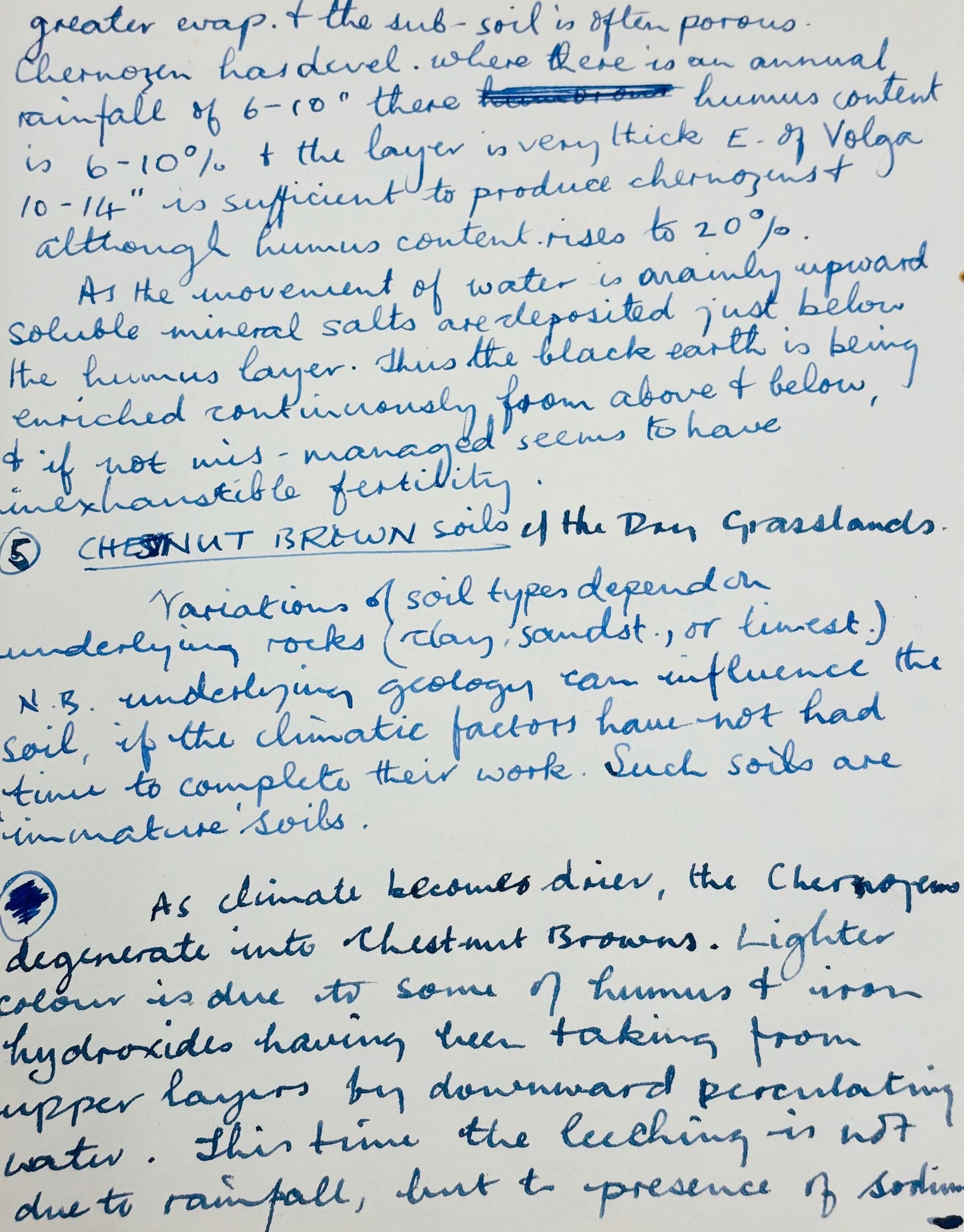 Paul McCartney Beckett Encapsulated Handwriting Removed From His Highschool Notebook