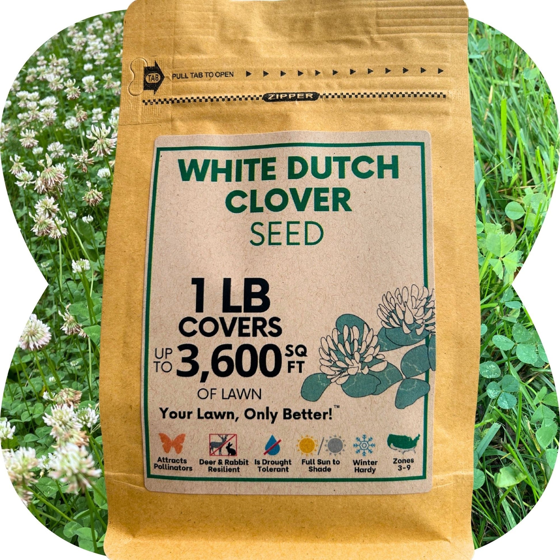 Dutch White Clover Seed - Concordia Style Boutique