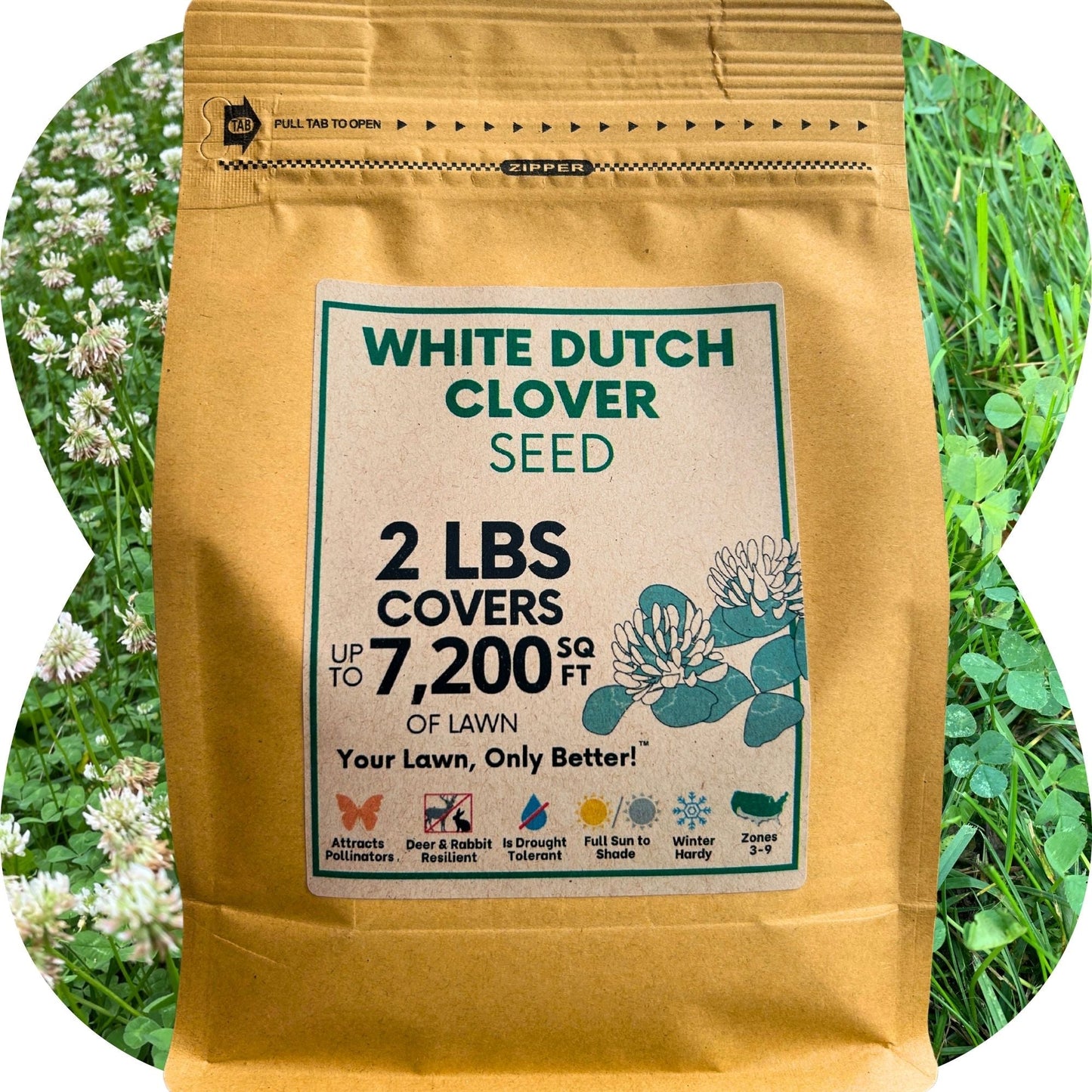 Dutch White Clover Seed - Concordia Style Boutique