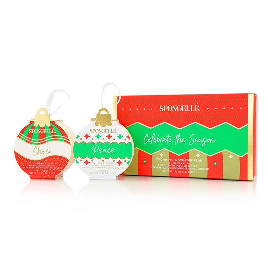Celebrate the Season | Holiday Ornament Gift Set - Concordia Style Boutique