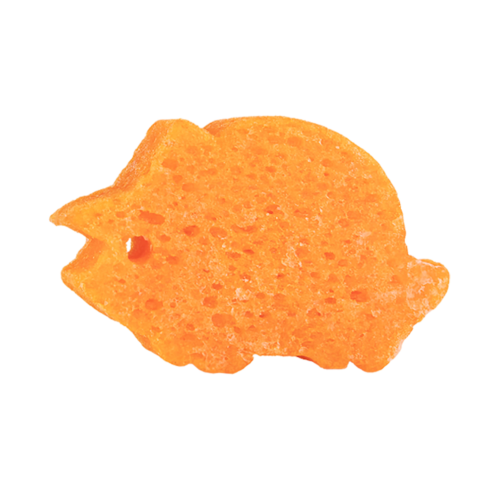 Tina Triceratops | Spongeasaurus Dinosaur Buffer - Concordia Style Boutique