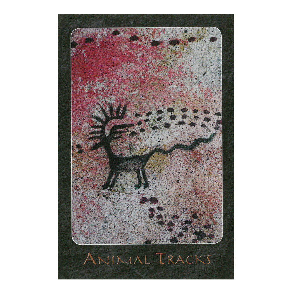 A Shaman Oracle: 40 Mythical Soul Images from the Indian Southwest - Concordia Style Boutique