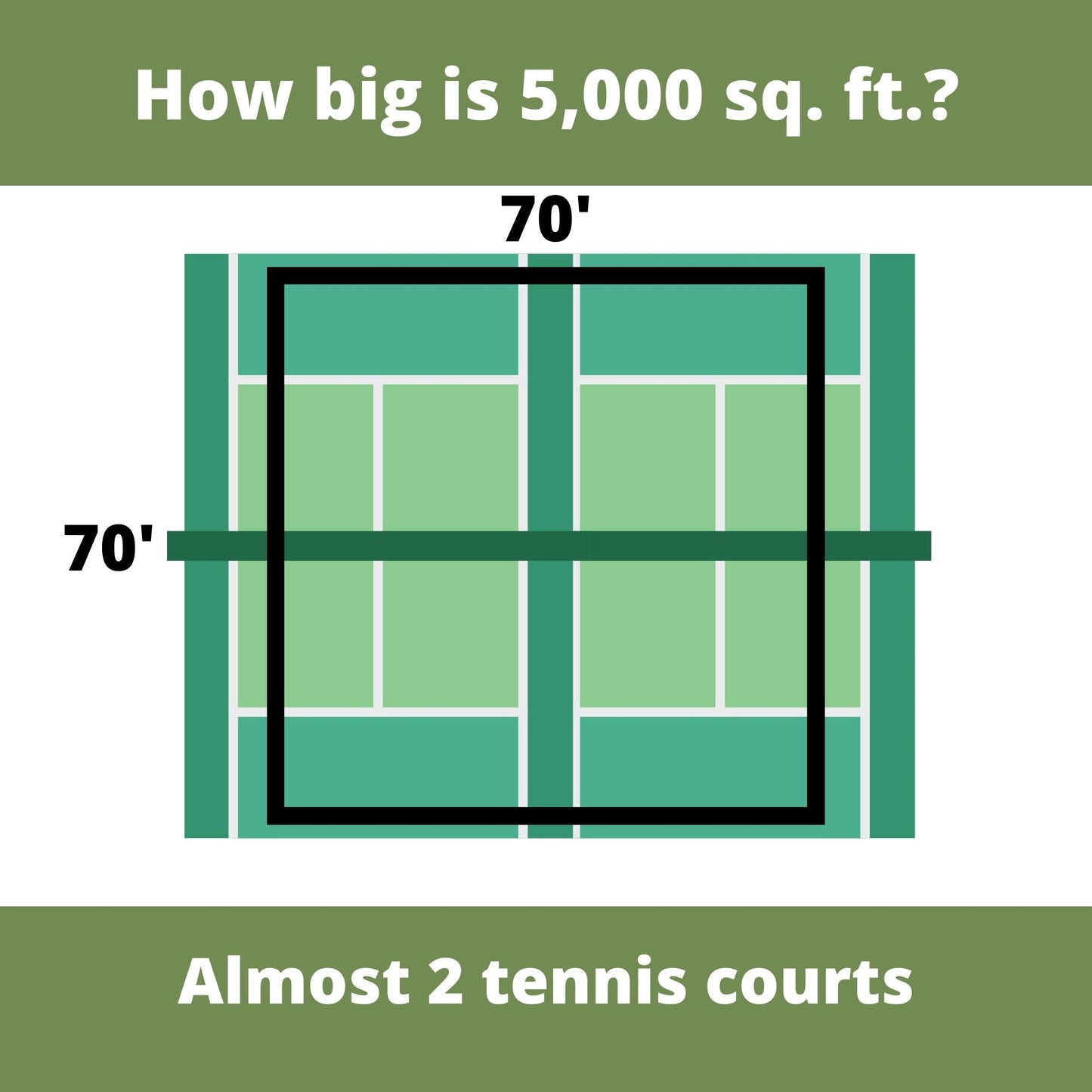 Speedy Bee Lawn Seed Kit - Concordia Style Boutique