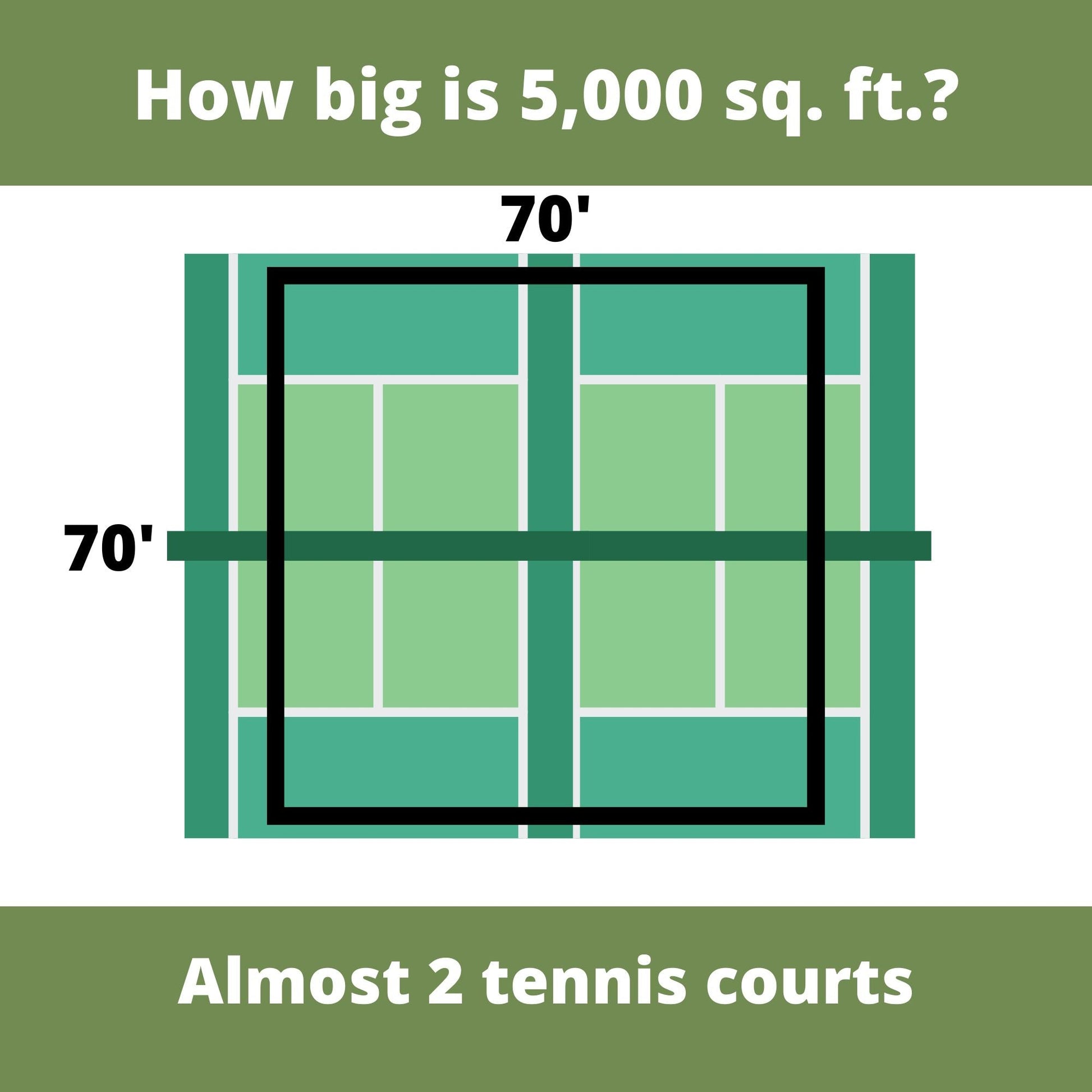 Speedy Bee Lawn Seed Kit - Concordia Style Boutique