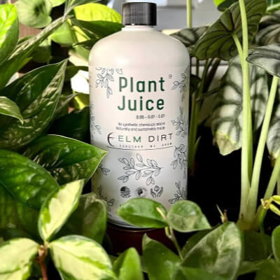 Plant Juice - Premium Gardenig from Elm Dirt - Just $19.95! Shop now at Concordia Style Boutique