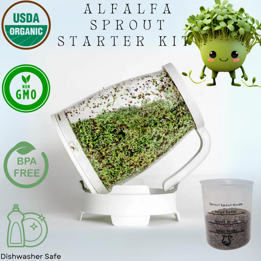 Sprout Spout Alfalfa Starter Kit: Sprout Spout + 4oz or 1lb seeds + Free Sprout Scoop - Concordia Style Boutique