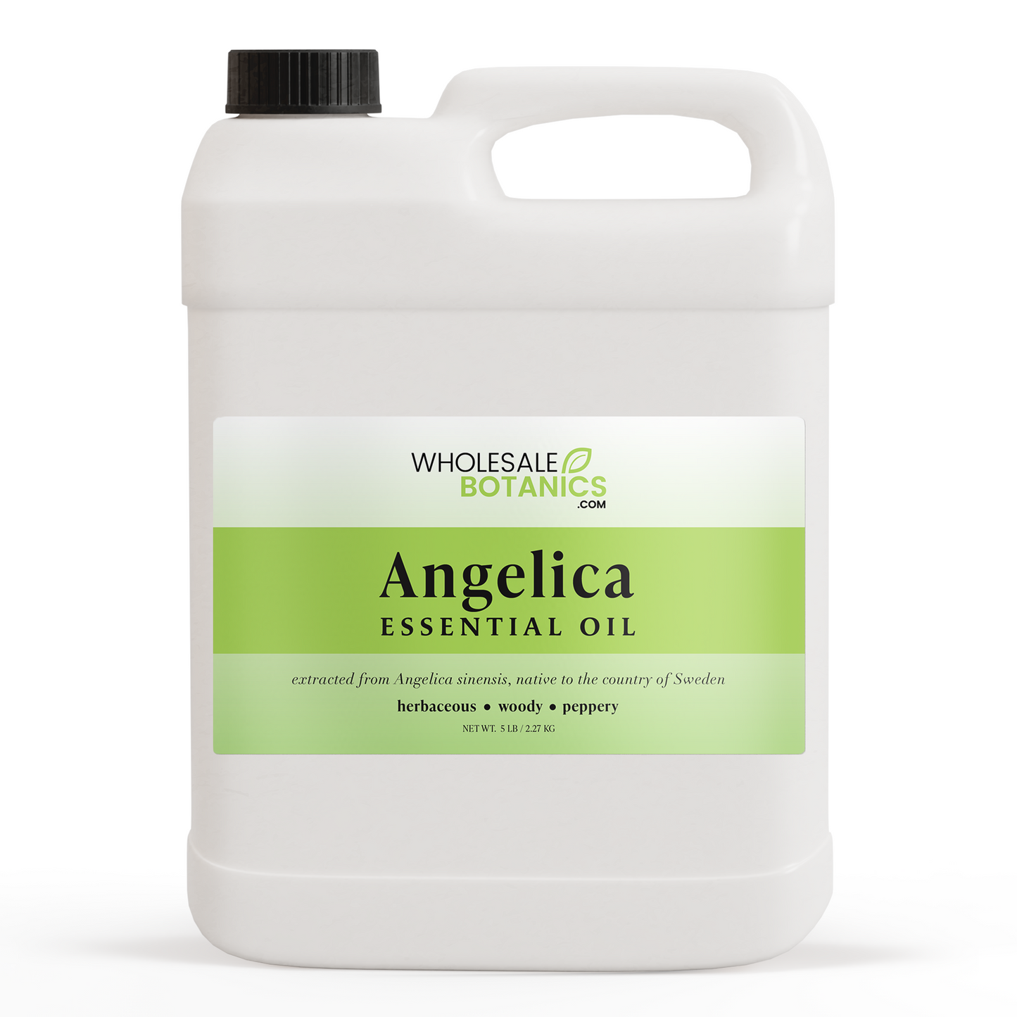 Angelica Essential Oil