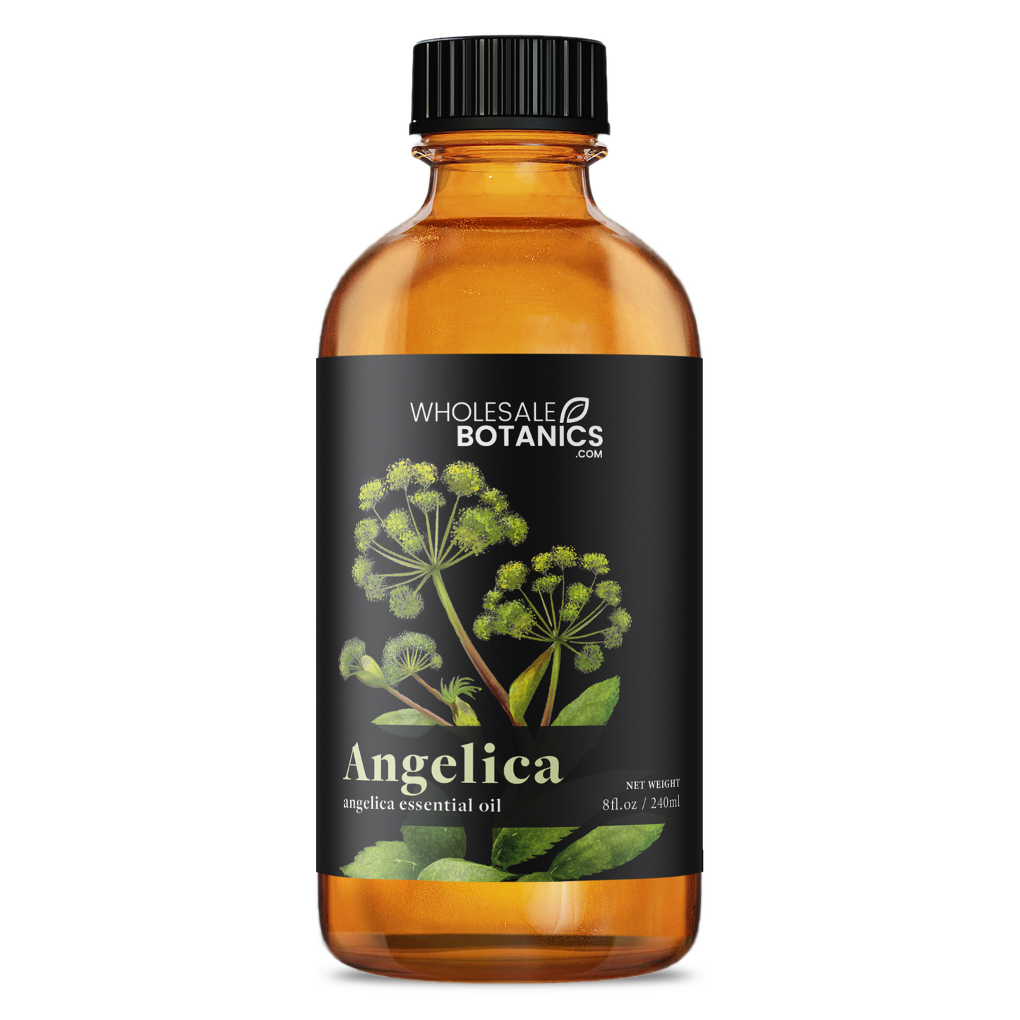 Angelica Essential Oil
