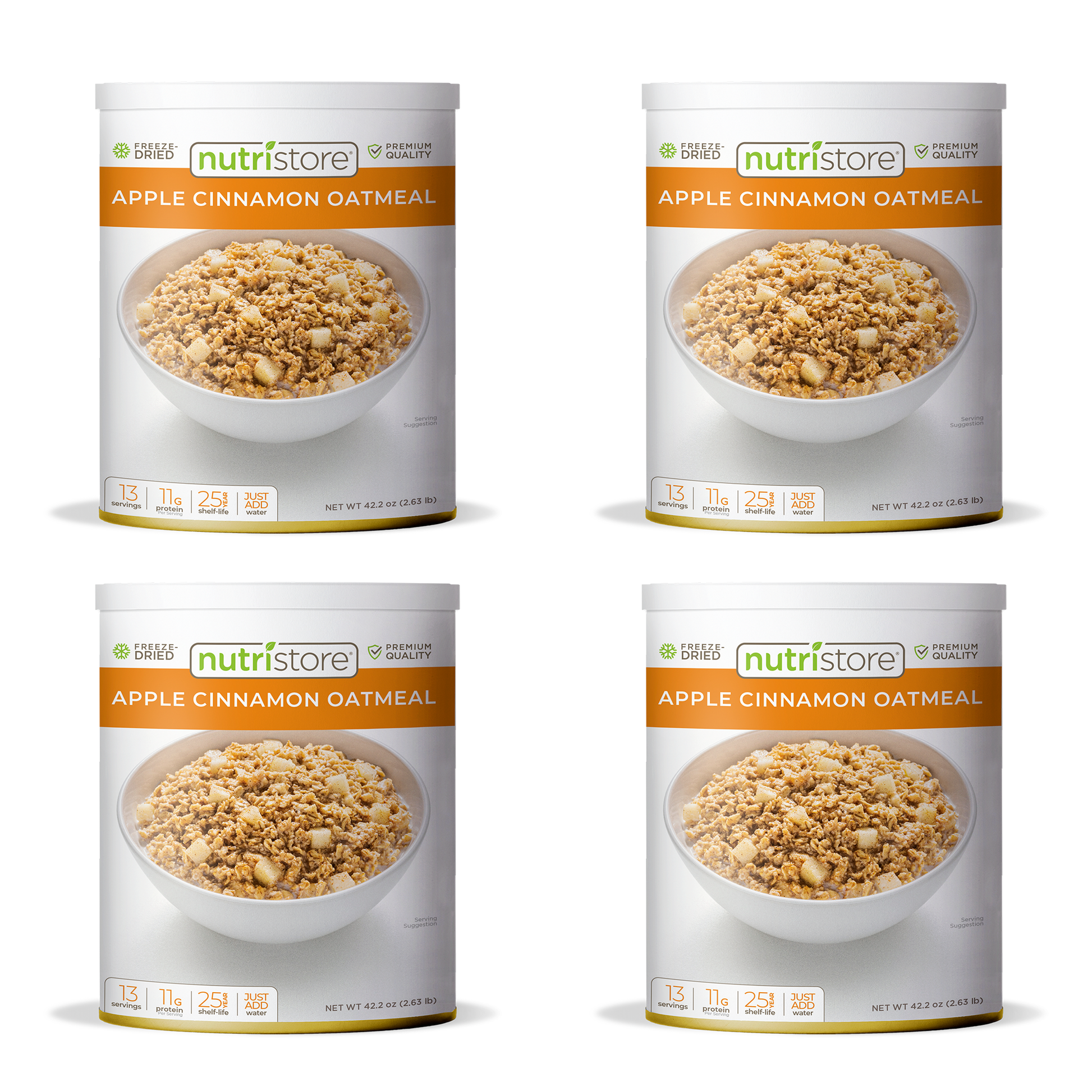 Apple Cinnamon Oatmeal Freeze Dried - #10 Can - Concordia Style Boutique