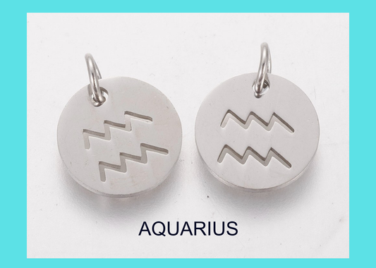 Charm - Zodiac - AQUARIUS