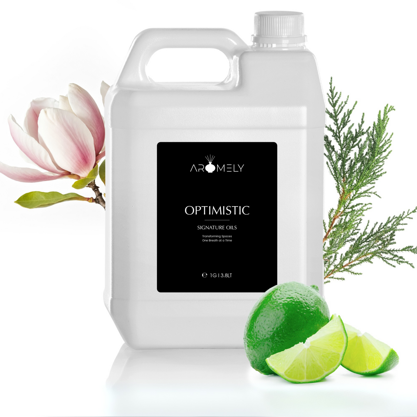 Optimistic - Concordia Style Boutique