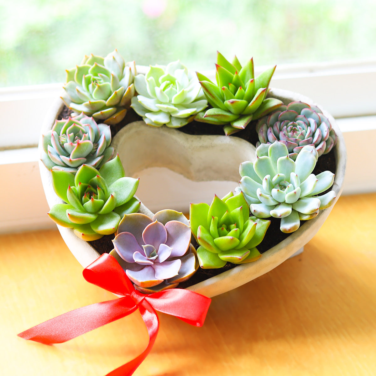 Large Succulent Heart Arrangement