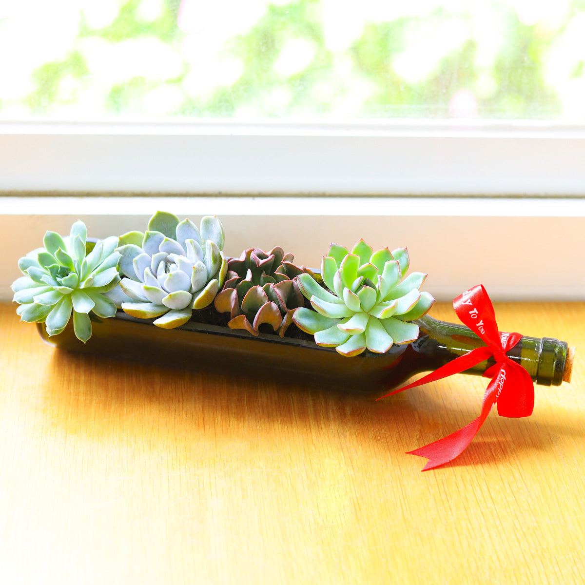 Succulent Wine Bottle Arrangement