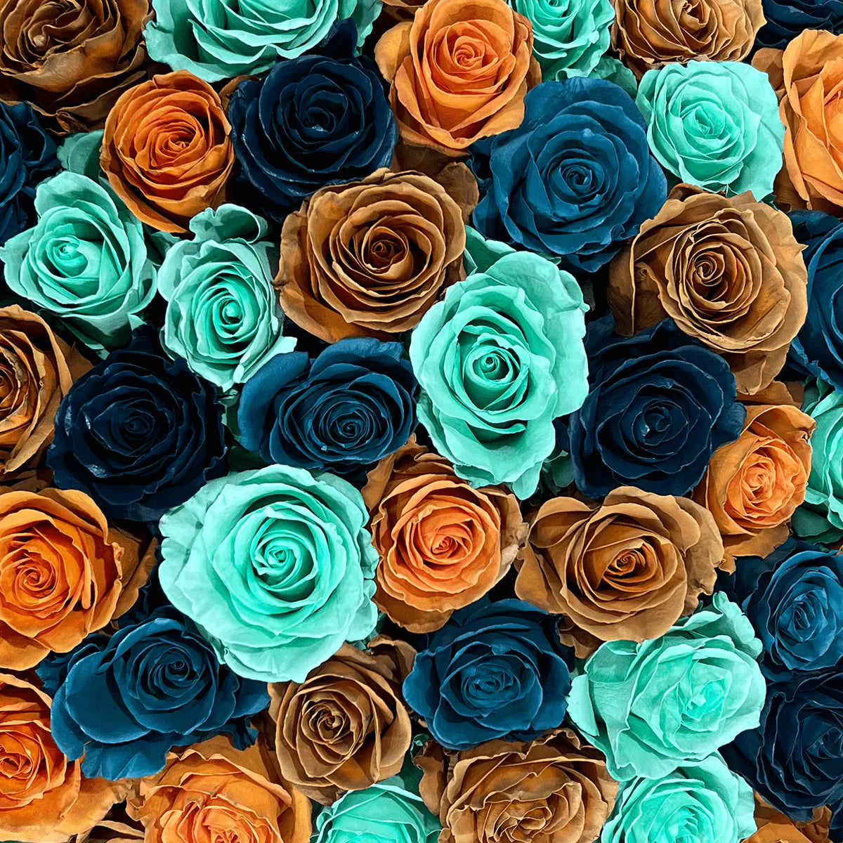 BLUE-TOUCHED