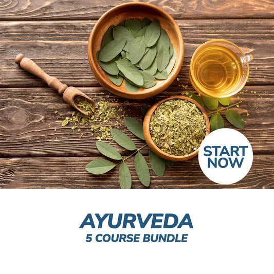 Ayurveda Online Bundle, 5 Certificate Courses - Premium Ayurveda from Courses For Success - Just $449! Shop now at Concordia Style Boutique
