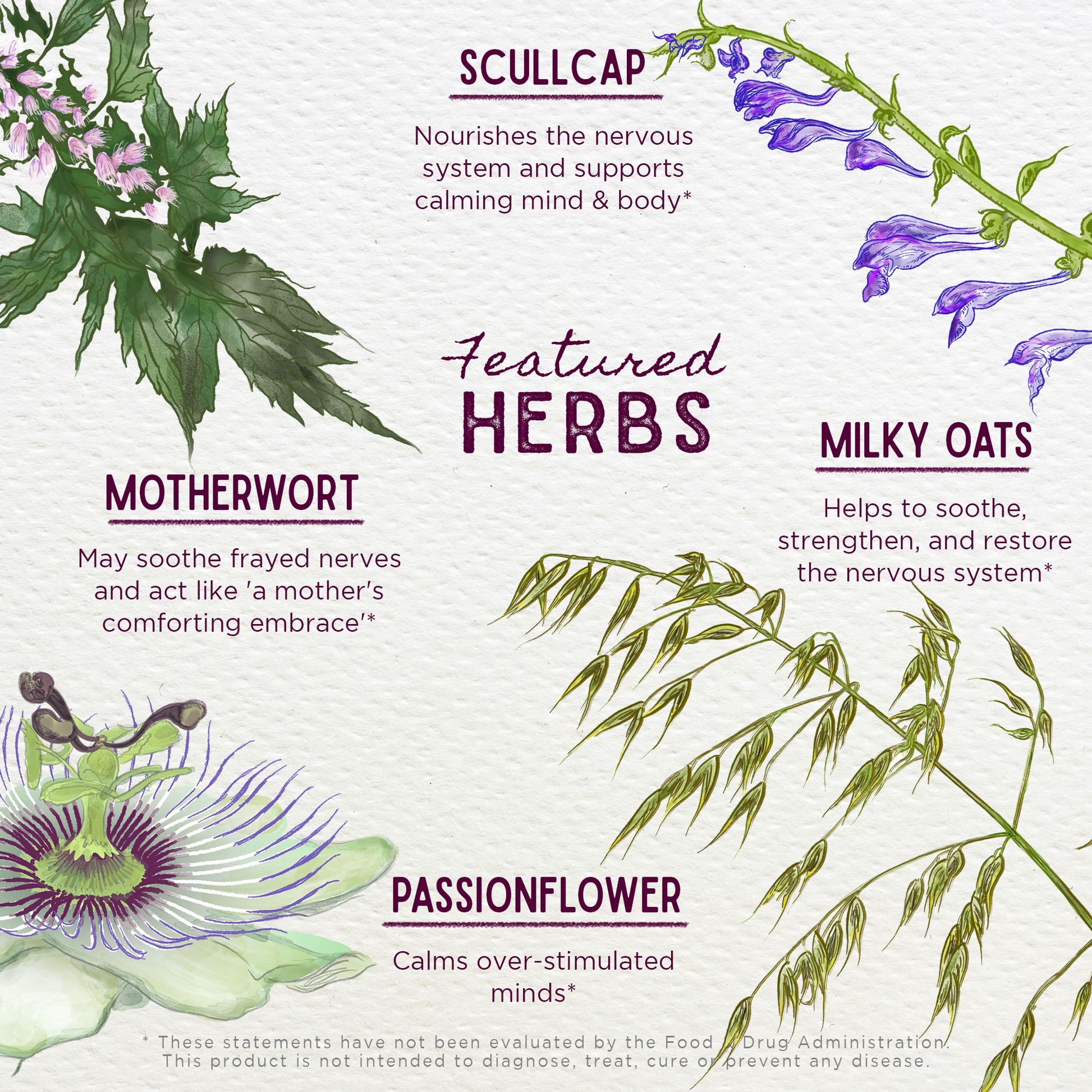 Emotional Ally: A Big Herbal Hug - Concordia Style Boutique
