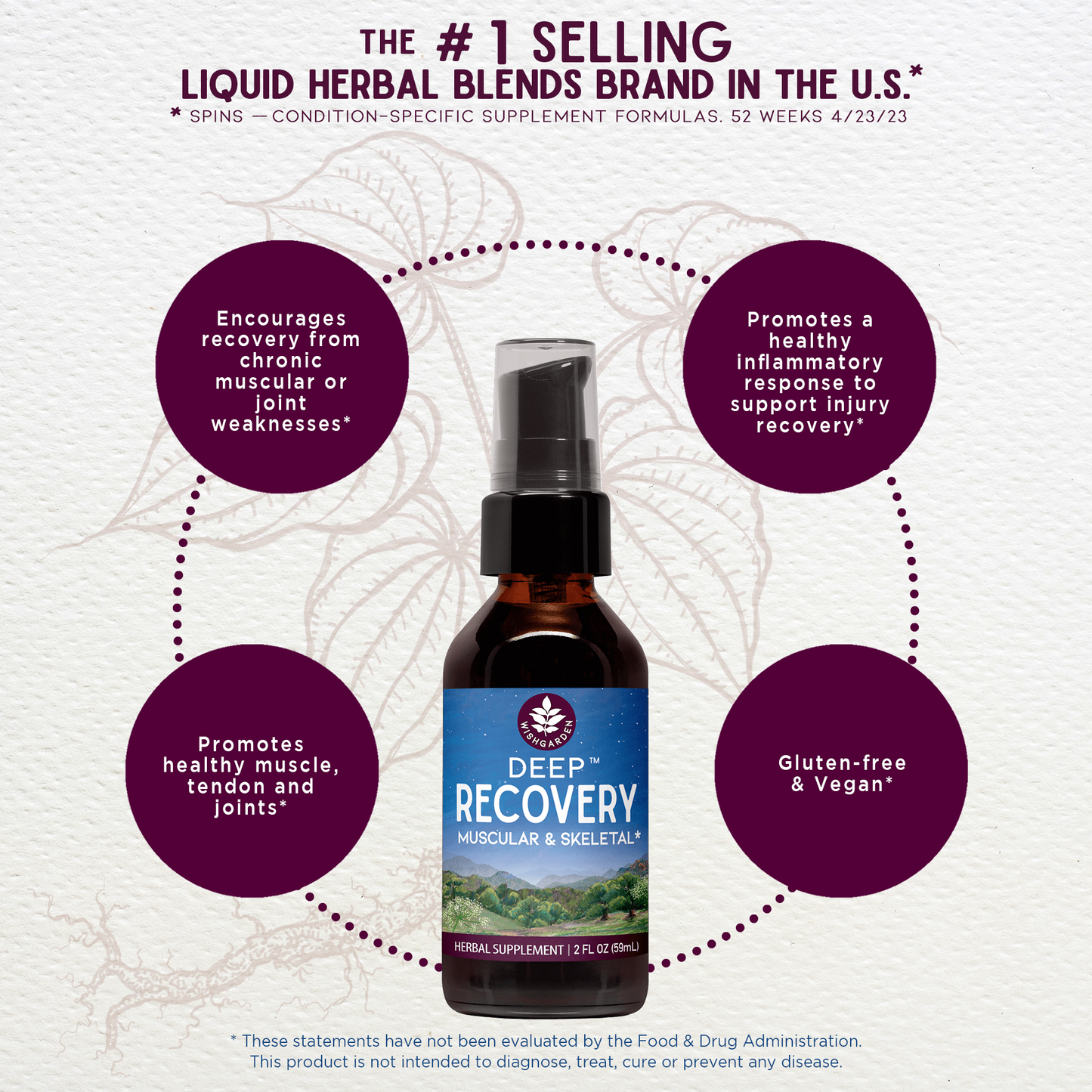 Deep Recovery Muscular & Skeletal - Concordia Style Boutique