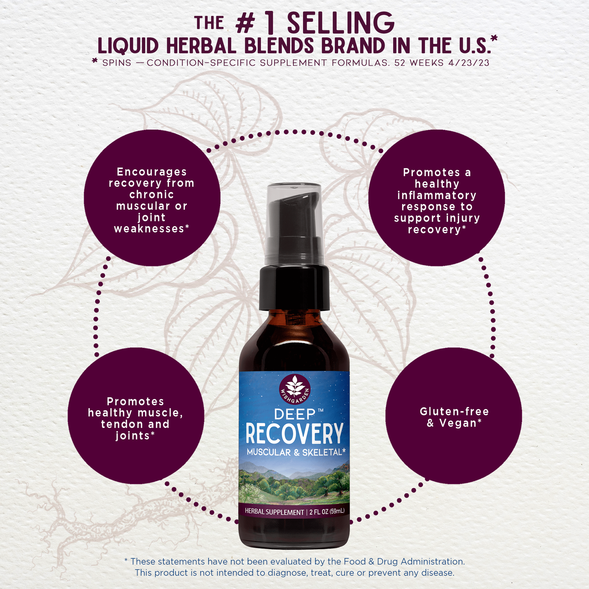 Deep Recovery Muscular & Skeletal - Concordia Style Boutique