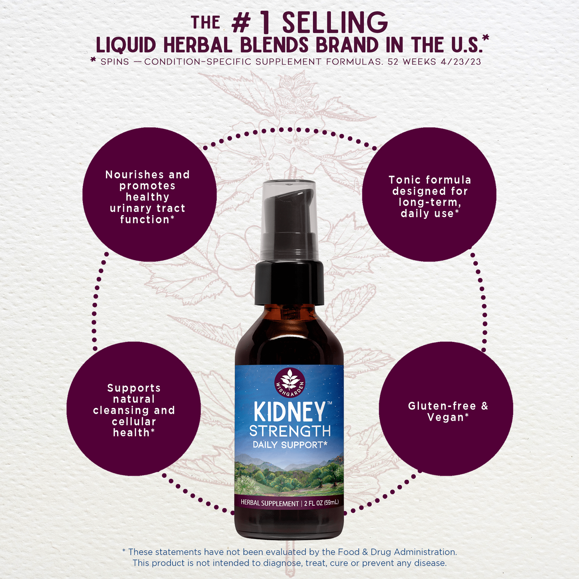 Kidney Strength Daily Support - Concordia Style Boutique