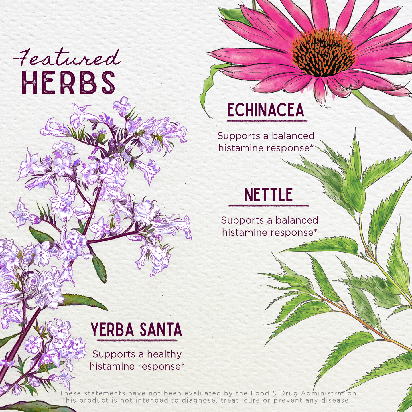 Kick-Ass Allergy Seasonal Rescue For Pregnancy - Concordia Style Boutique
