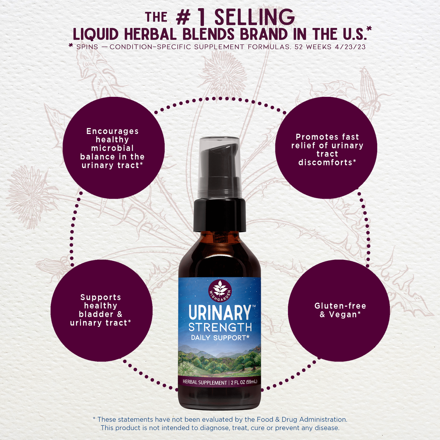 Urinary Strength Active Support - Concordia Style Boutique
