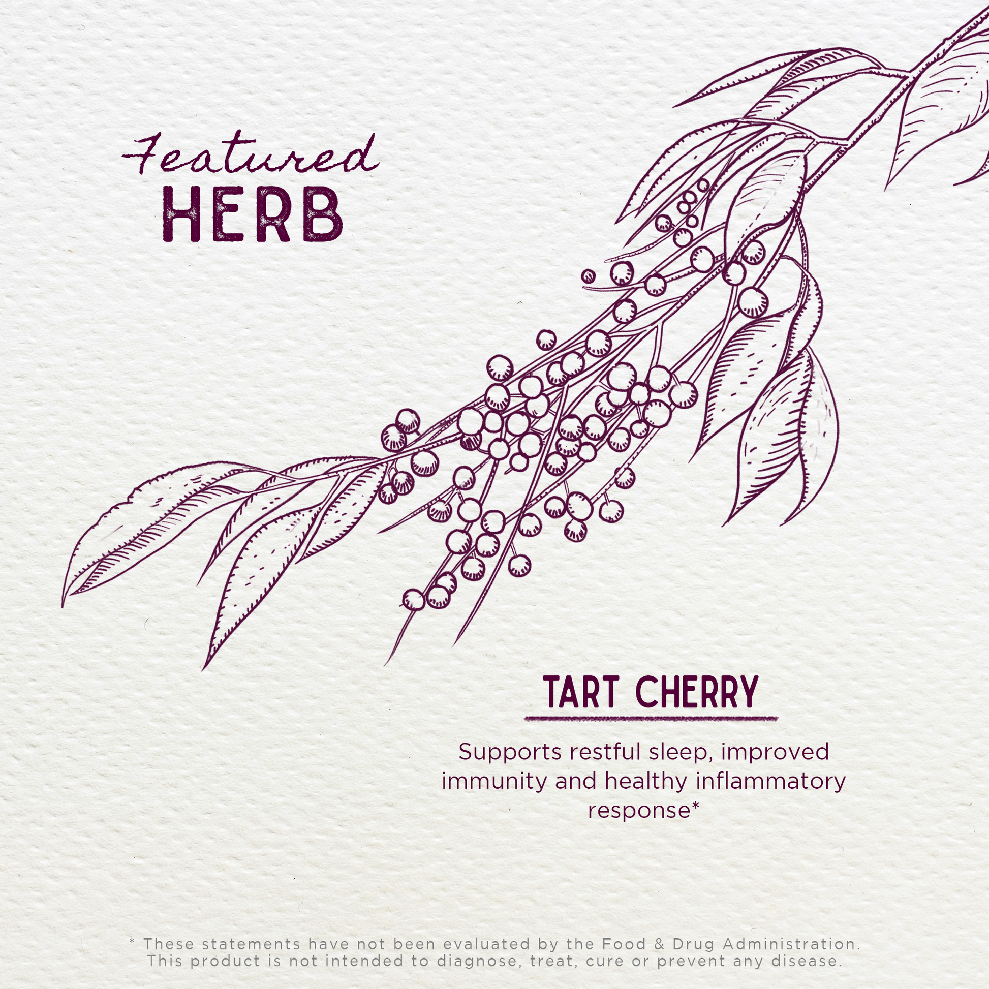 Tart Cherry - Concordia Style Boutique
