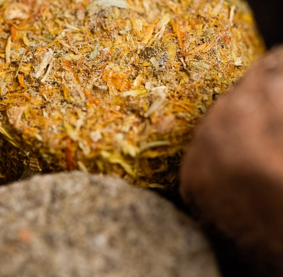 7 Day Cleansing Charcoal Tablets | Meditation | Yoga - Concordia Style Boutique