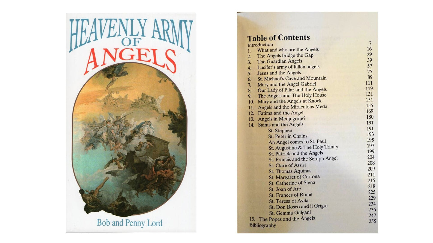 Heavenly Army of Angels  Book