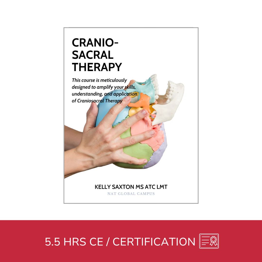 Integrative Cranio-Sacral Therapy (5.5 hrs) - Concordia Style Boutique