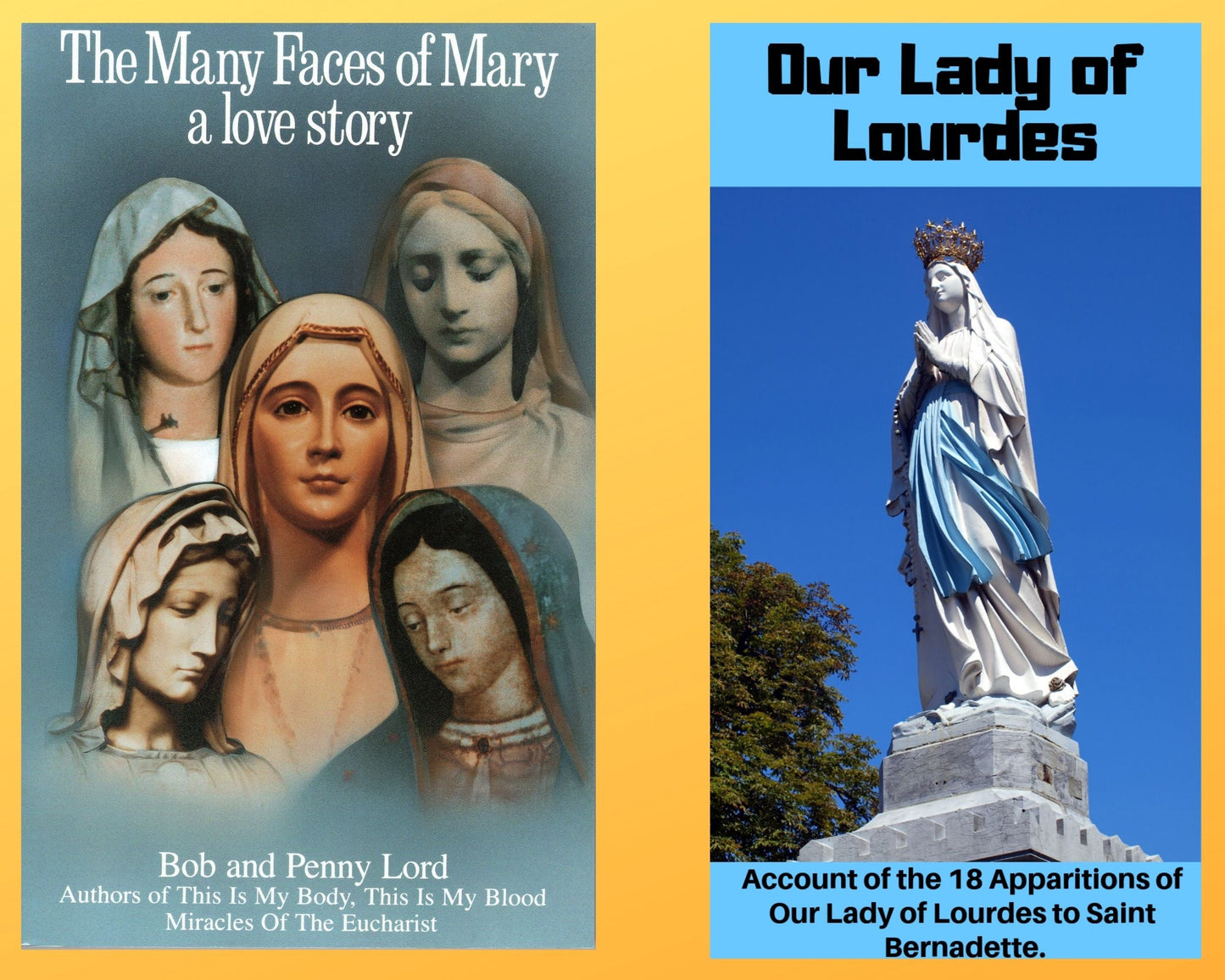 The Many Faces of Mary Book and Companion Our Lady of Lourdes DVD free shipping