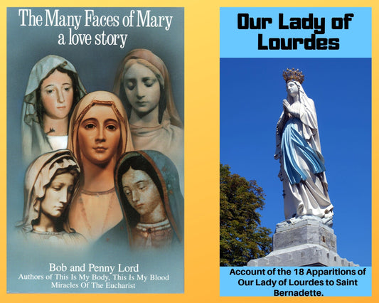 The Many Faces of Mary Book and Companion Our Lady of Lourdes DVD free shipping