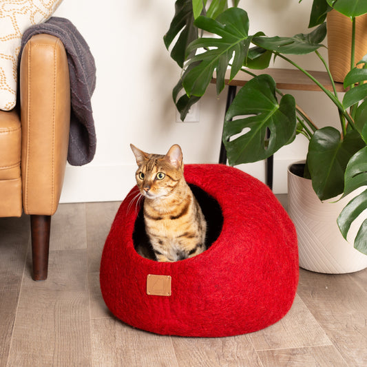 Chili Red | Round Style Cave - Concordia Style Boutique