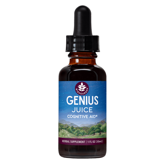 Genius Juice Cognitive Aid - Concordia Style Boutique