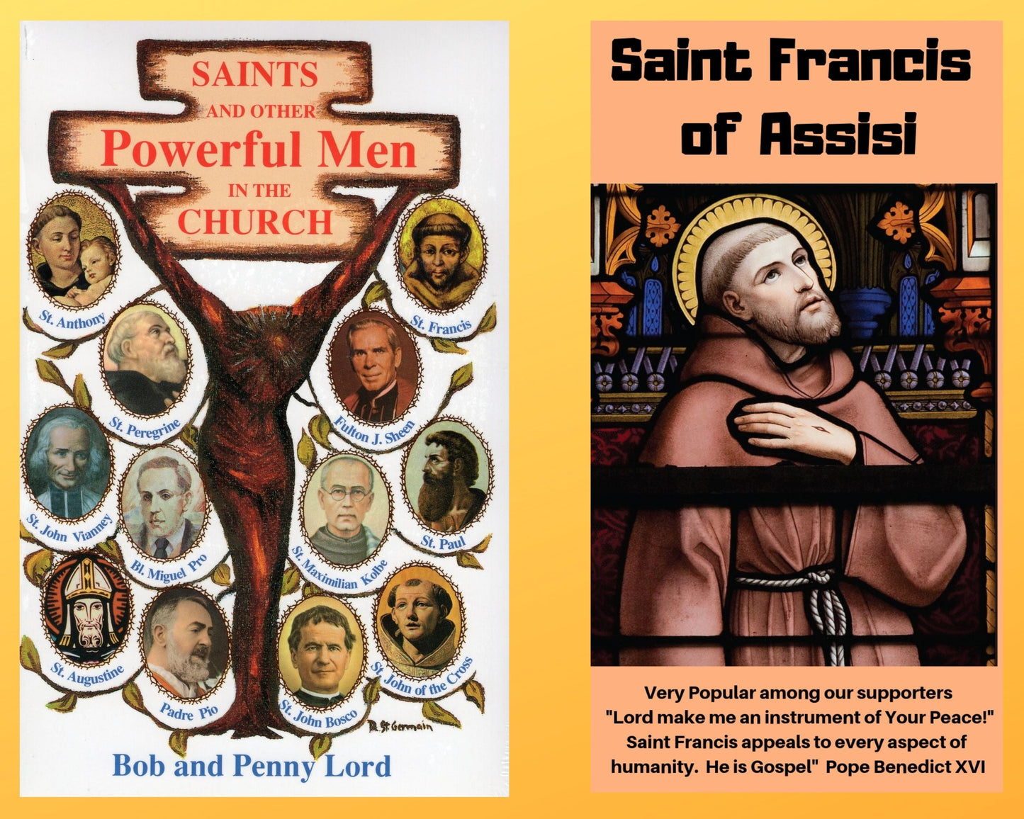 Saints and Other Powerful Men Book and Companion Saint Francis of Assisi DVD Free Shipping