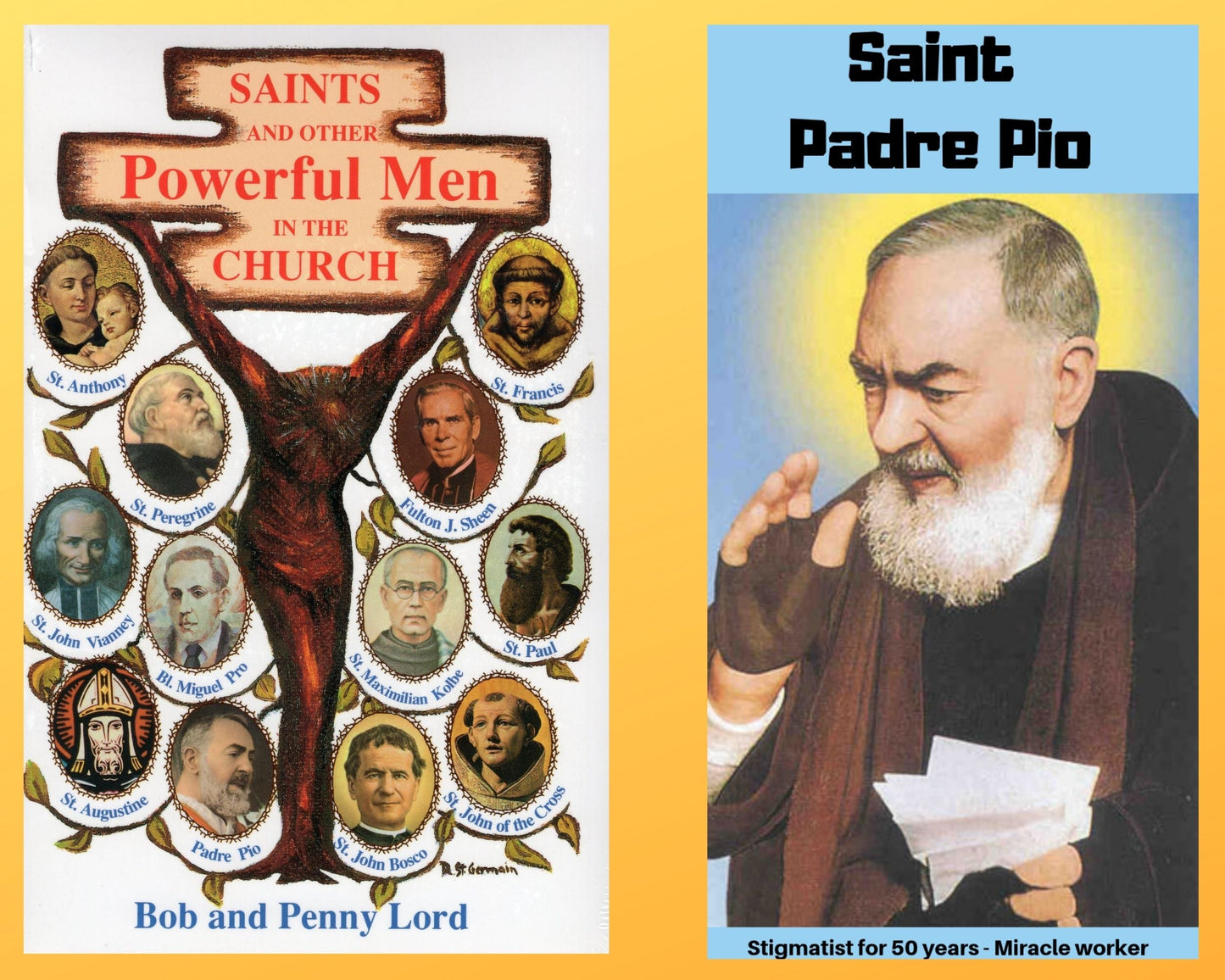 Saints and Other Powerful Men Book and Companion Saint Padre Pio DVD Free Shipping