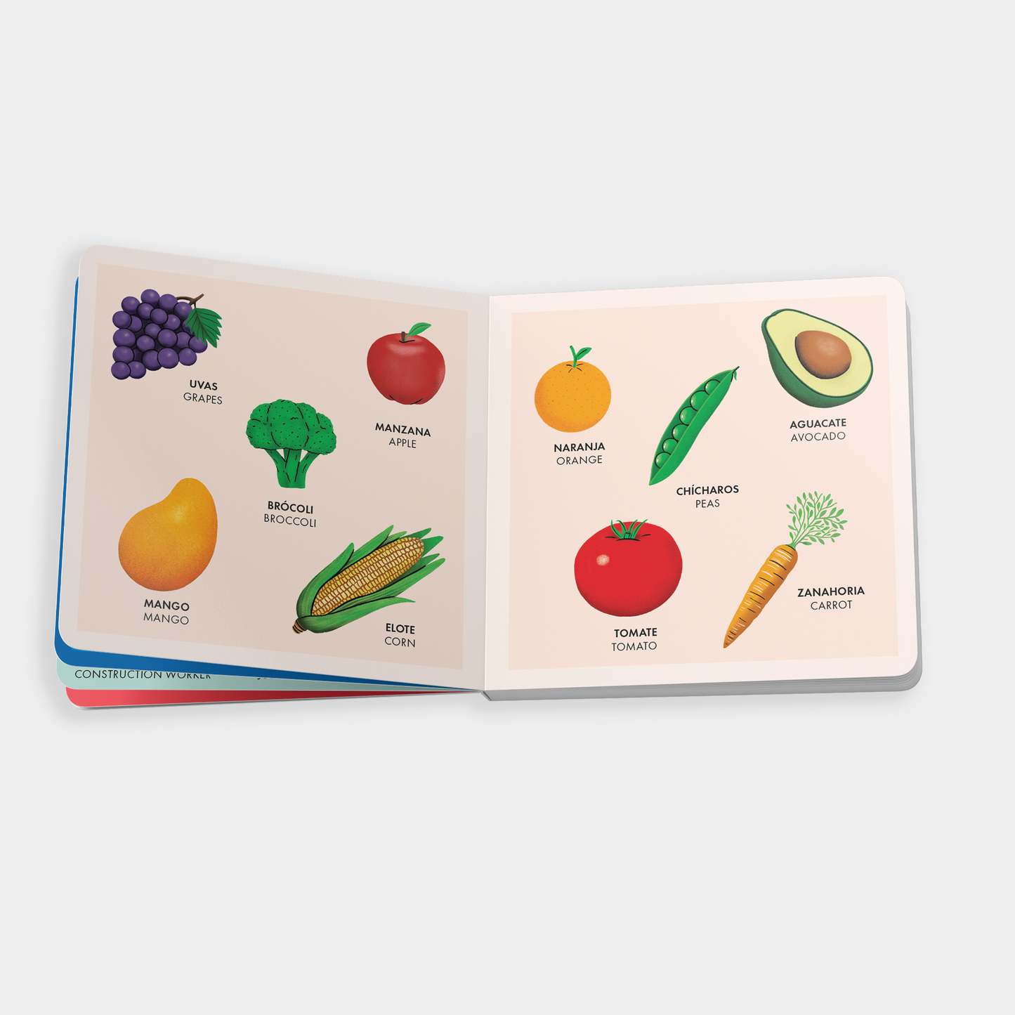 My Big Bilingual Book of First Words