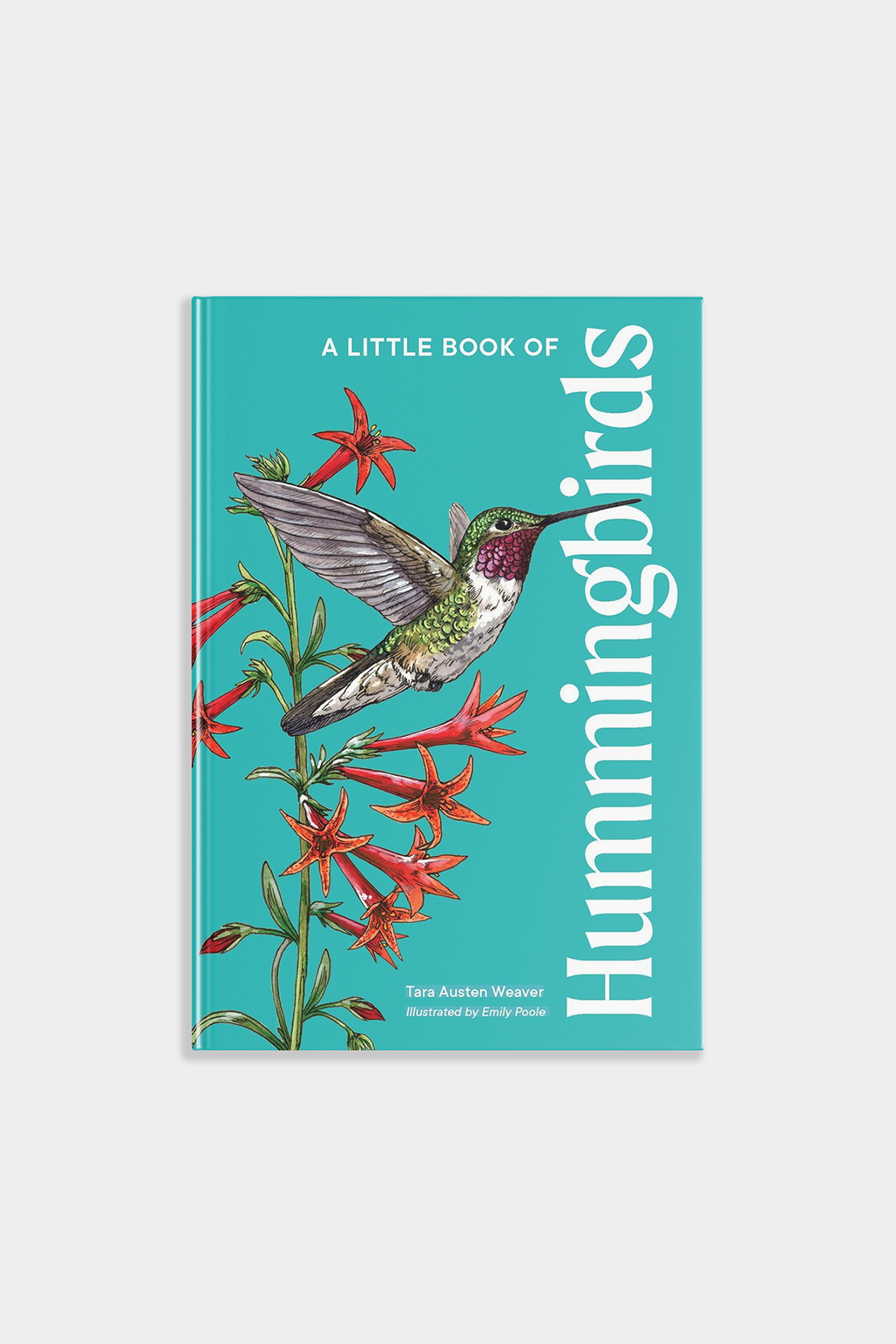 Little Book of Hummingbirds