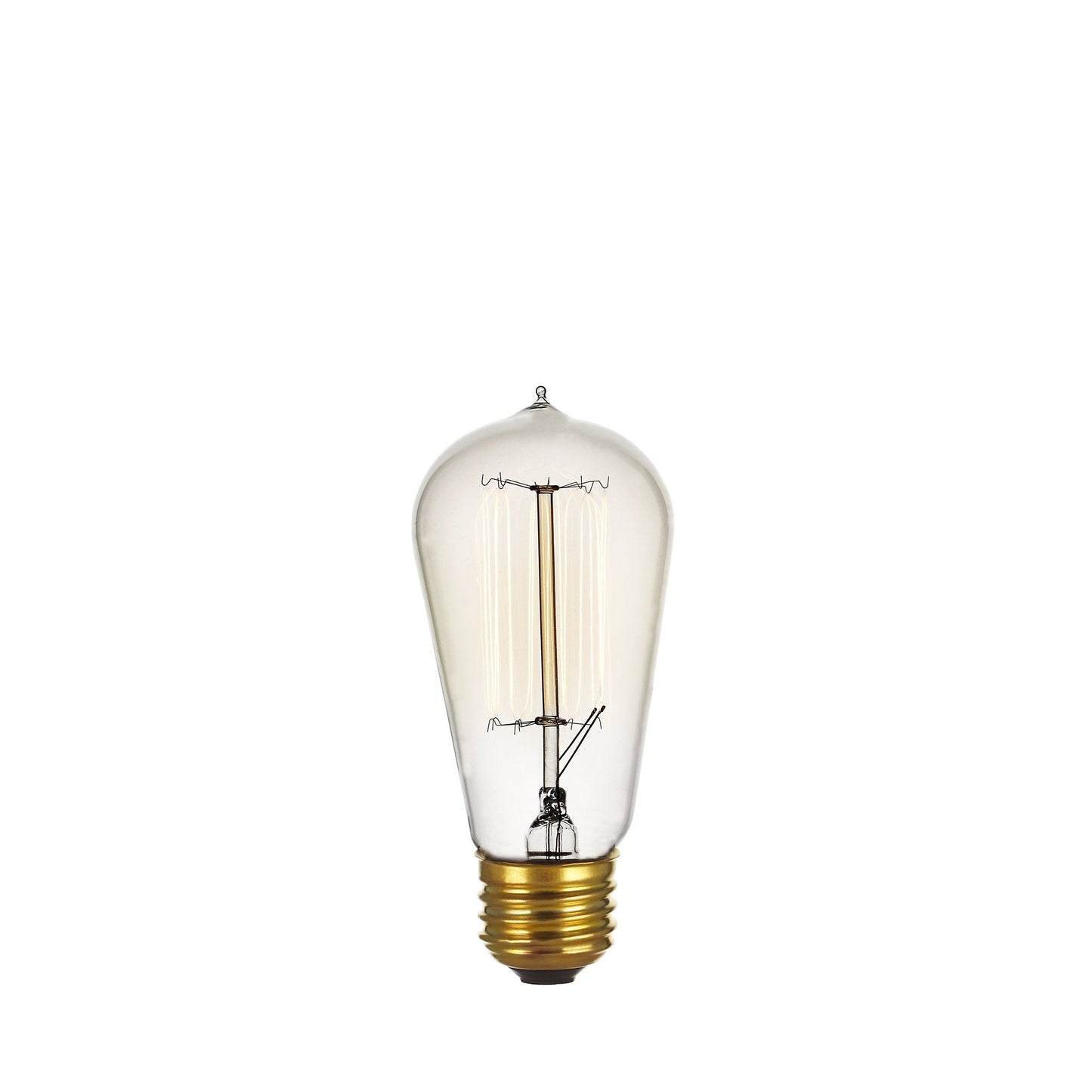Incandescent Edison Bulb (120/240V)