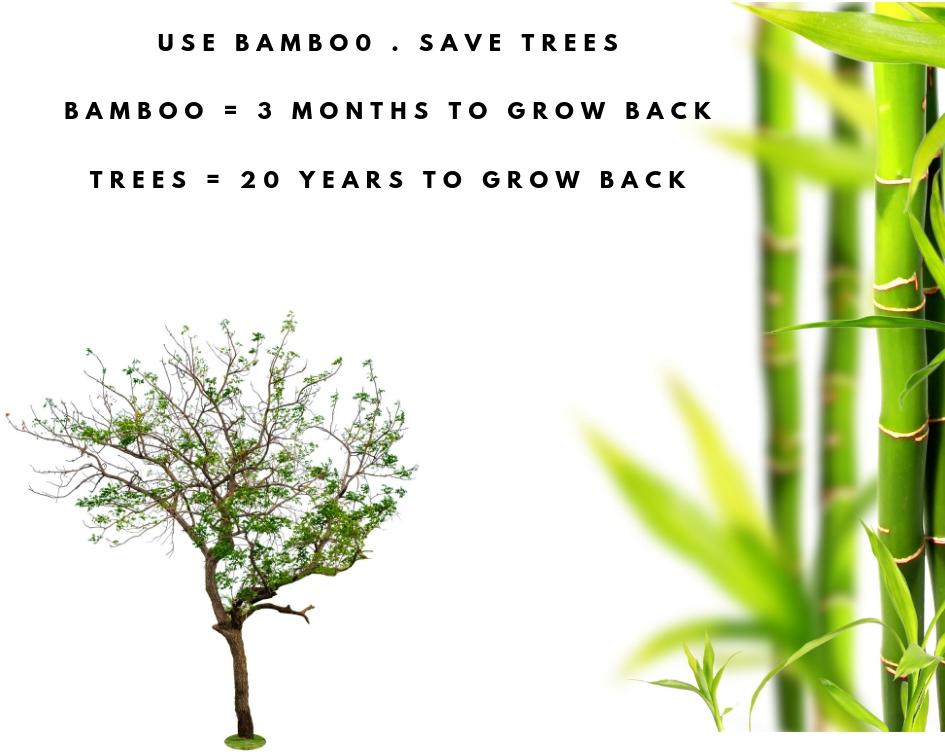 Reusable Bamboo Kitchen Paper Towels - Tree-Free, Eco-Friendly Rolls, 4-Pack - Concordia Style Boutique