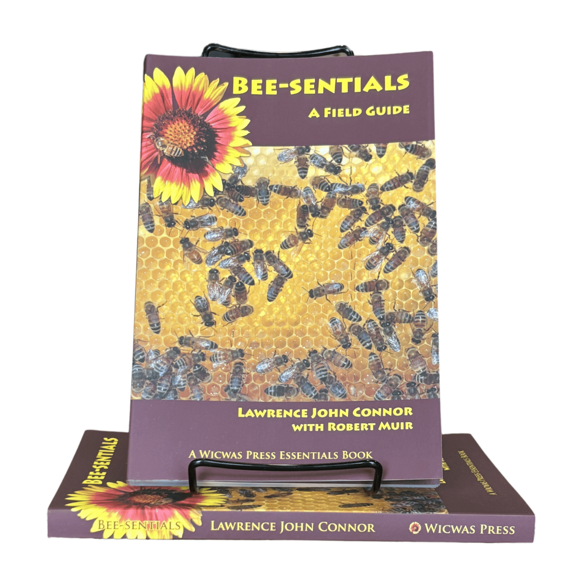 Bee-sentials - Beginner Book - Concordia Style Boutique