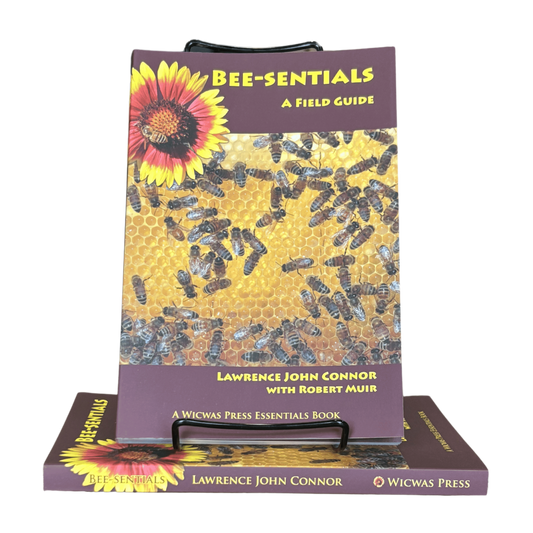 Bee-sentials - Beginner Book - Concordia Style Boutique