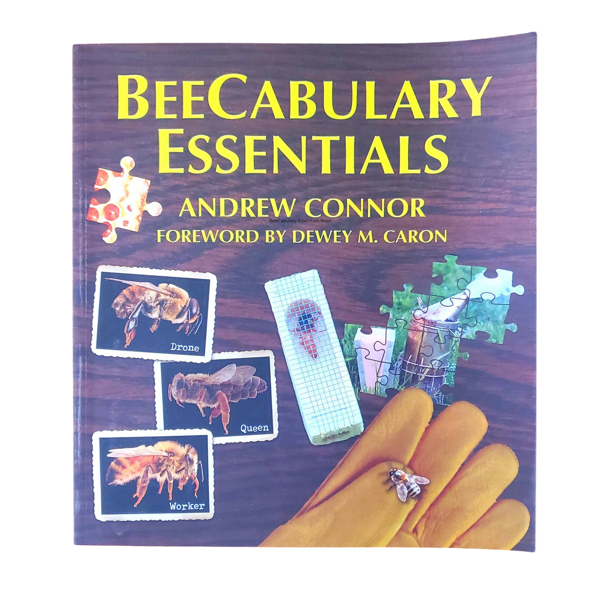BeeCabulary Essentials Book - Concordia Style Boutique